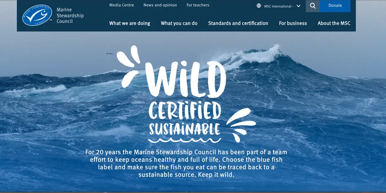 Scaling the platform behind a global sustainability standard: MSC